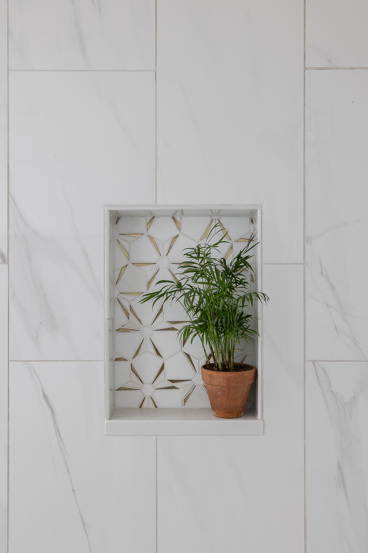 026 710 Colonel Anderson Pkwy Internet